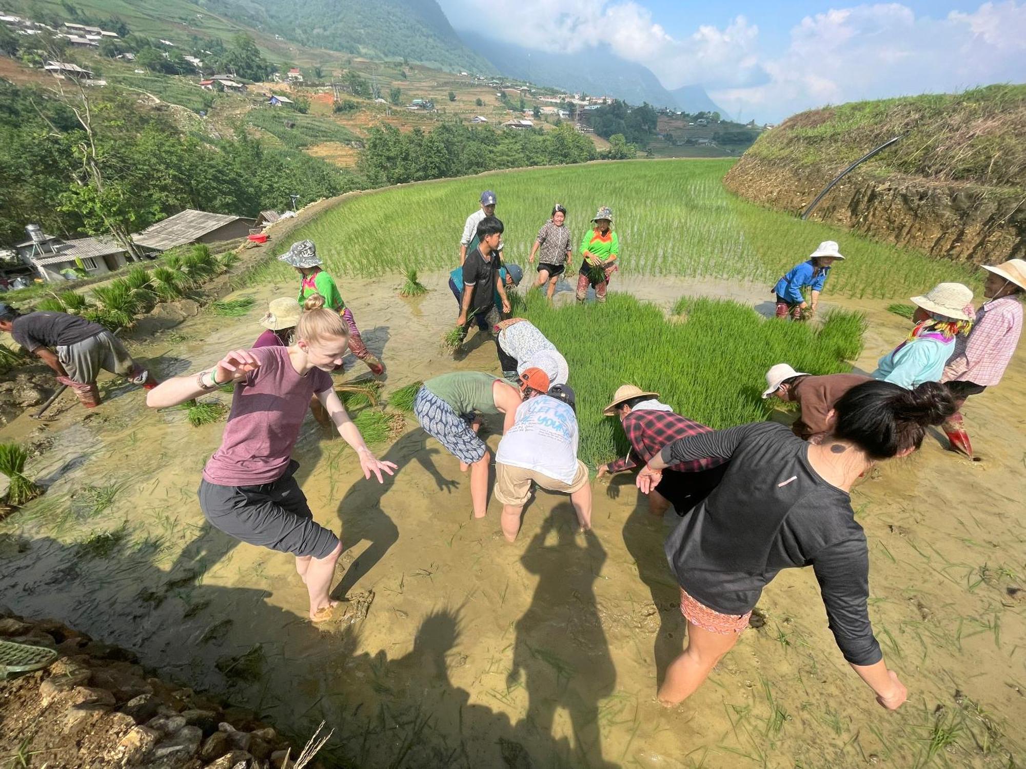 Tavan Chopai Homestay Sa Pa Ngoại thất bức ảnh